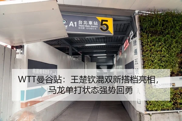 WTT曼谷站：王楚钦混双新搭档亮相，马龙单打状态强势回勇