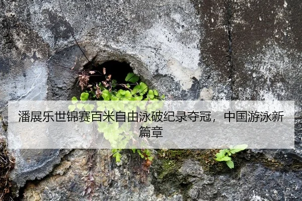 潘展乐世锦赛百米自由泳破纪录夺冠，中国游泳新篇章