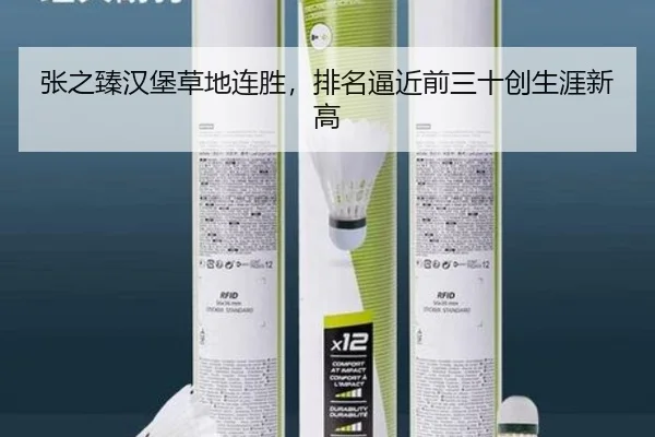 张之臻汉堡草地连胜，排名逼近前三十创生涯新高