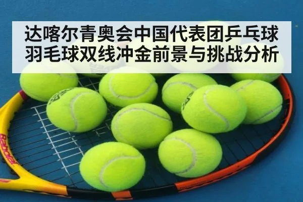 达喀尔青奥会中国代表团乒乓球羽毛球双线冲金前景与挑战分析